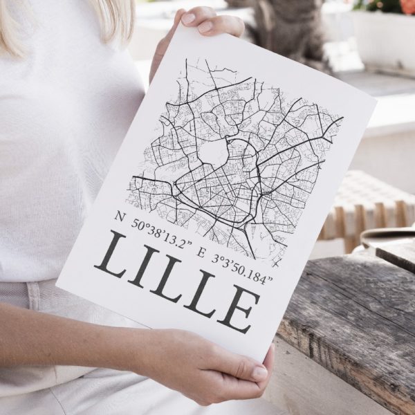 Mapping_lille_illustration_de_patrimoine